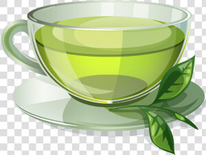 Green Tea Coffee Herbal Tea   Hot Green Tea Cup  HD Png Download