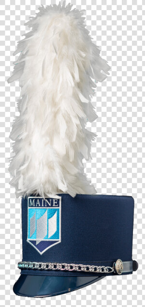 Marching Band Hat   Marching Band Hat Feather  HD Png Download