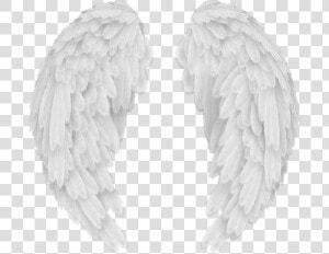 Angels In America Wings   Transparent Background Angel Wings Png  Png Download