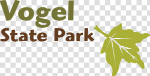 Vogel Logo   Georgia State Parks  HD Png Download