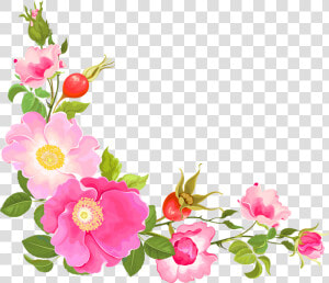 Peony Clipart Corner   Corner Flower Border Design  HD Png Download