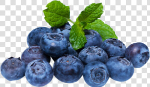 Blueberry Png Picture   Blueberry Png  Transparent Png