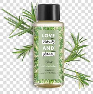 Love Beauty And Planet Tea Tree Oil  amp  Vetiver Shampoo  HD Png Download