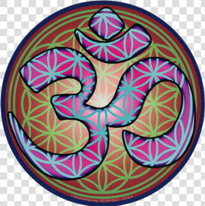 Flower Of Life Om   Om Flower Of Life  HD Png Download