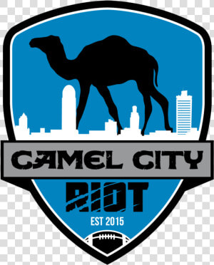 Arabian Camel  HD Png Download