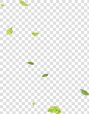 Flying Leaves Png   Png Download   Листья Летят Пнг  Transparent Png