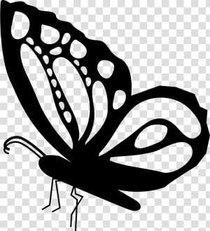 Butterfly Beautiful Side View Shape With Ornamental   Drawing Of Side Design  HD Png Download