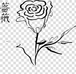 Rose Drawing Clip Art   Calligraphic Lines In Art  HD Png Download