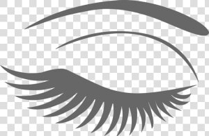 Transparent Cartoon Eyelashes Png   Eye Lashes Clip Art  Png Download