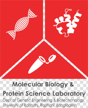 Molecular Biology And Protein Science Lab   Email Vector Icon Png  Transparent Png