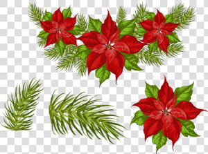 ❄️ Tube Noël  Poinsettia Png   Poinsettia  Transparent Png