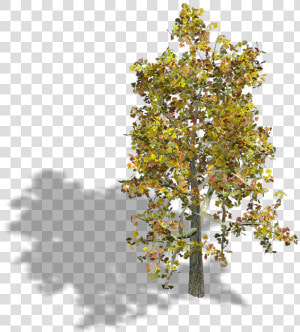 Preview   Tree Axonometric Png  Transparent Png