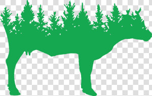 Transparent Pikes Peak Silhouette Clipart   Pine Trees Background Vector  HD Png Download