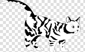 Tiger Cat Black White Line Art Coloring Sheet Colouring   Black And White Cat Coloring Pages  HD Png Download