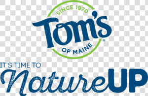 Transparent Toms Logo Png   Toms Of Maine  Png Download