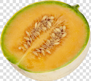 Honeydew  HD Png Download