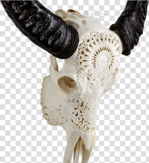 Carved Buffalo Skull   Mandala Skull Carving  HD Png Download