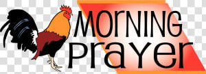 Obey Clipart Morning Prayer   Rooster  HD Png Download