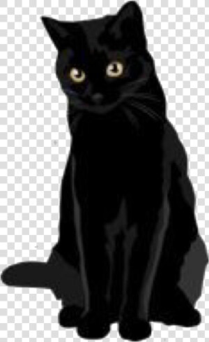 Tumblr Cat Png Black Cat Transparent   Black Cat Sticker  Png Download