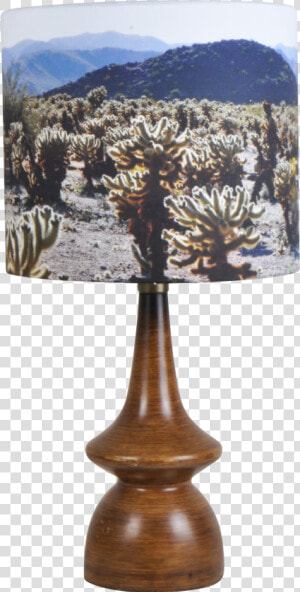 Joshua Tree Png  Transparent Png