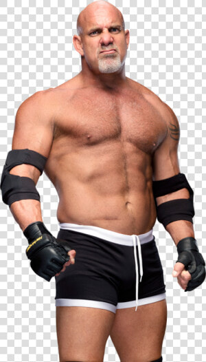 Bill Goldberg Png   Goldberg Png  Transparent Png