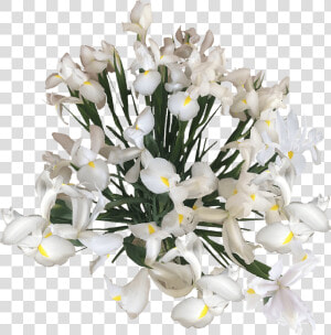 Flowers Online Blue White Wholesale Prices   Bouquet  HD Png Download