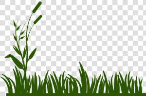 Banner Royalty Free Download Swamp Clipart Spring Free   Black And White Grass  HD Png Download