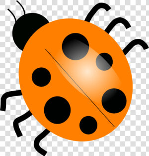 Orange Ladybugs Clip Art At Clipartimage   Ladybug Clip Art  HD Png Download