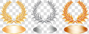 Silver Laurel Wreath Png   Silver Jubilee Clipart  Transparent Png