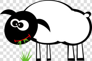 Sheep  Eat  Grass  Graze  Grazing  Lamb   Sheep Eating Grass Clipart  HD Png Download