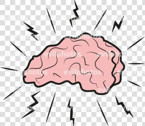 Brain Drawing Vector And Stock Photo   Drawing  HD Png Download