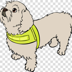 Lhasa Apso  HD Png Download