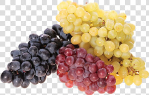 Kisspng Common Grape Vine Juice Wine Berry Red Grape   Полезные Свойства Винограда  Transparent Png