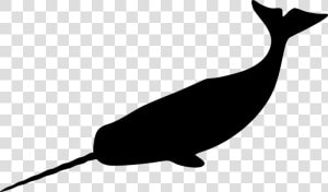 Narwhal  Tusk  Mammal  Whale  Arctic  Tooth  Marine   Narwhal Silhouette  HD Png Download