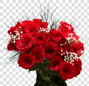 Order Two Dozen Red Roses Free Valentine S Day Delivery   Garden Roses  HD Png Download