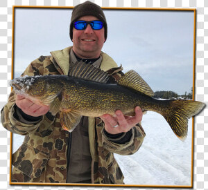 Walleye   Bass  HD Png Download