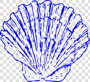 Bright Blue Shells Svg Clip Arts   Scallop Shell Clip Art  HD Png Download