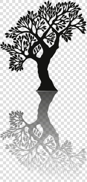 Transparent Tree Shadow Png   Black Shadow Tree  Png Download