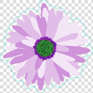 Transparent Daisy Flower Png   African Daisy  Png Download