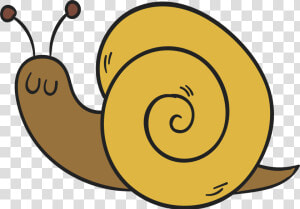 Transparent Snail Png   Snail Drawing Transparent Background  Png Download