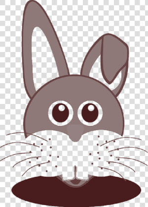 Bunny  Rabbit  Easter  Hare  Rodent  Teeth  Ears   Free Download Rabbit Vector  HD Png Download