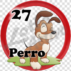 Perro Lotto Activo  HD Png Download