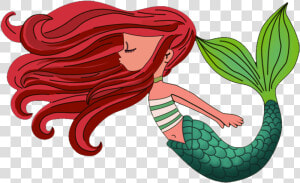 Mermaid Cartoon Drawing   Mermaid Illustration  HD Png Download