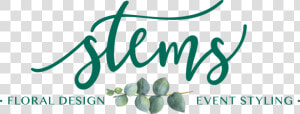 Stems Logo Final  HD Png Download