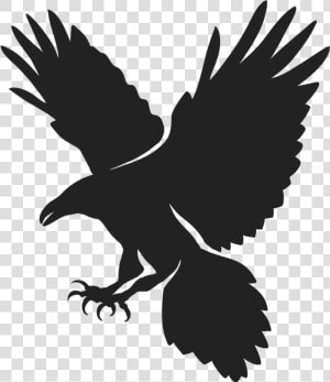 Ravens From Divergent  HD Png Download