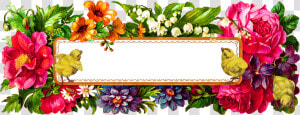 Transparent Easter Chicks Png   Rectangle Floral Frame Png  Png Download