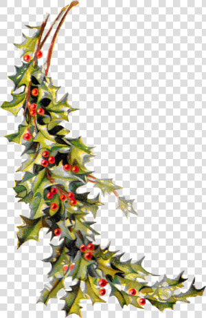 Antique Images Free Christmas Holly Image Holiday Clip   Christmas Tree Vintage Clipart  HD Png Download