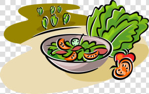 Vector Illustration Of Fresh Green Salad With Romaine   Cooked Vegetables Clip Art  HD Png Download