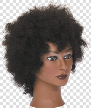 Transparent Manikin Png   Afro Wig On Manican  Png Download