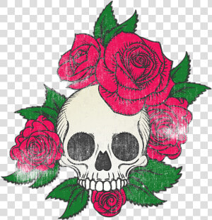 Skulls And Roses Drawing  HD Png Download